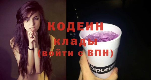 индика Снежинск