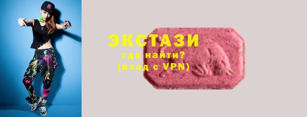 индика Снежинск